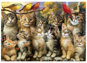 Παζλ Educa Gatitos y Pájaros 500 Τεμάχια