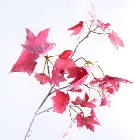 Τεχνητό Φύλλο Σφένδαμος 3050-7 80cm Red Supergreens Πολυαιθυλένιο
