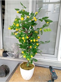 Stewehome Τεχνητό δέντρο λεμονιάς με πράσινα φύλλα και φυσική όψη Λευκό
