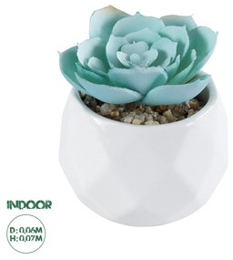 Artificial Garden SUCCULENT ECHEVERIA 20996 Διακοσμητικό Φυτό Παχύφυτο Εχεβέρια Υ7cm