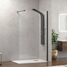 Πάνελ Ντουζιέρας Σταθερό Walkin 1 WAL1N100 Clear-Black Karag 100 x200 Aluminium