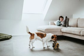 Παιχνίδια για Σκύλους Hunter