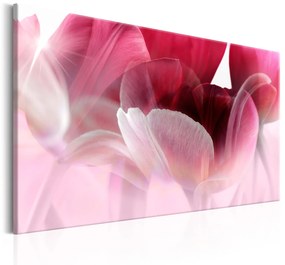 Πίνακας - Nature: Pink Tulips 120x80