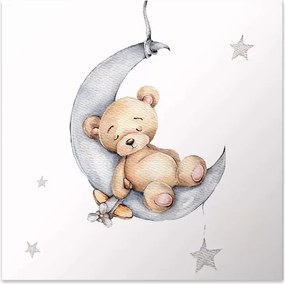 Πίνακας σε καμβά "Baby Bear" Megapap ψηφιακής εκτύπωσης 40x40x3εκ.