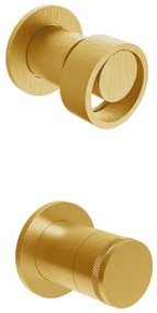 Armando Vicario Halo Gold Brushed Μίκτης εντοιχισμού+εκτροπέας περιστροφικός 2 εξόδων