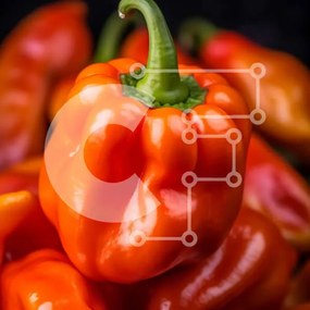 Σετ των 2 Intra Συλλεκτικό Ξύλινο Παζλ Plywood 4mm - Στοίβα από φρέσκες ώριμες πορτοκαλί πιπεριές Σε Ξύλινο Κουτί - Διαστάσεις: 10x10 cm – 25 κομμάτια