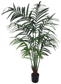 Plant in Pot CONCORAL Kentia Tropic 4000320A-GR