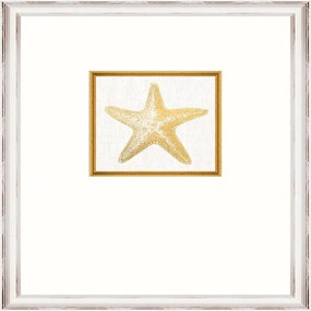 Κάδρο Starfish Fa13367 35X45Cm White-Gold Mindthegap Κάθετοι Ξύλο
