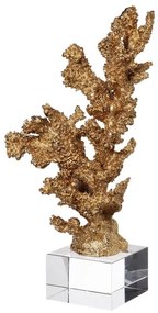 Κοράλι διακοσμητικό σε γυάλινη βάση