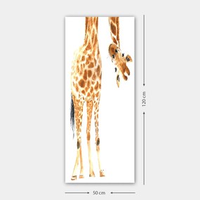 Decorative Canvas Painting DKY2589411454_50120 Multicolor