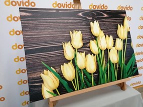 Εικόνα γοητευτικών κίτρινων τουλιπών σε ξύλινο φόντο - 60x40
