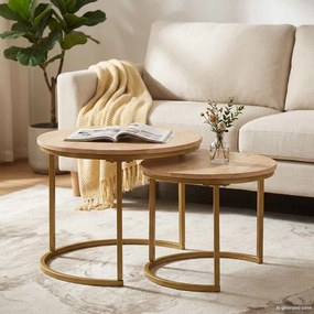 vidaXL Τραπεζάκια Καφέ Στερεών 2 pcs Μασίφ ξύλο μάνγκο και χάλυβας