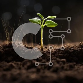 Intra Συλλεκτικό Ξύλινο Παζλ Plywood 4mm - Νέο φυτό που φυτρώνει από το έδαφος Σε Ξύλινο Κουτί - Διαστάσεις: 10x10 cm – 25 κομμάτια