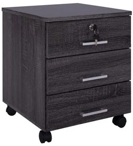 ΣΥΡΤΑΡΙΕΡΑ ΓΡΑΦΕΙΟΥ HAYDEN HM2282.01 ΣΕ ΑΝΘΡΑΚΙ ΧΡΩΜΑ 39x39,5x46,5