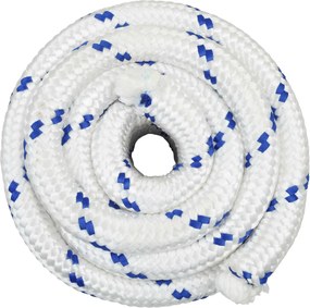 vidaXL Σχοινί Boat 60 χιλ. 10 m Λευκό και Μπλε polypropylene