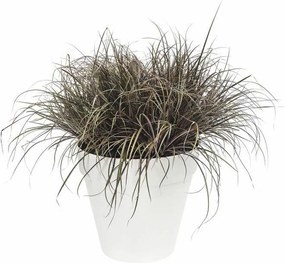 Βάζο Λουλουδιών Elho   Λευκό Ø 50 x 44 cm