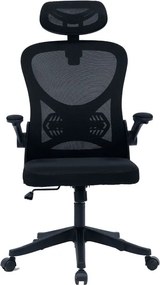 Καρέκλα γραφείου διευθυντή Anthony pakoworld mesh μαύρο