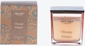 Κερί Αρωματικό 200gr Nef-Nef Homeware Orange Ginger