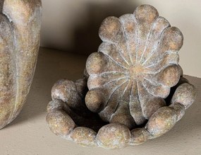 Δίσκος PTMD Minter - 30x22x10cm