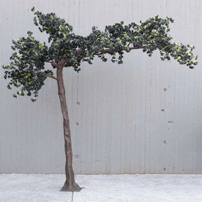 Τεχνητό Δέντρο Βουκαμβίλια 5650-6 360x320cm Black Supergreens Υαλοβάμβακας
