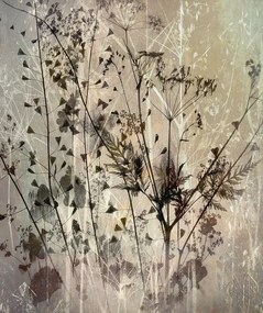 Εικονογράφηση Field bouquet, Nel Talen