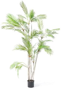 Τεχνητό Δέντρο Φοίνικας Chamaedorea 7790-6 230cm Green Supergreens Πλαστικό