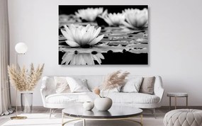 Εικόνα λουλούδι λωτού σε ασπρόμαυρο σχέδιο