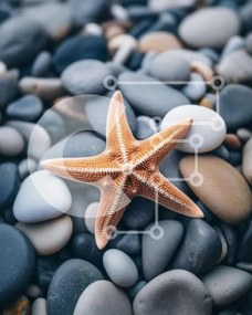 Intra Συλλεκτικό Ξύλινο Παζλ Plywood 4mm - Αστερίας σε βράχους και βότσαλα Σε Ξύλινο Κουτί - Διαστάσεις: 10x10 cm – 25 κομμάτια