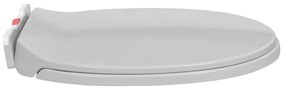 vidaXL Κάλυμμα Λεκάνης με Soft Close &amp;amp; Quick Release Οβάλ Ανοιχτό Γκρι