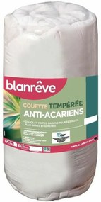 Σκανδιναβικό Παπλώμα Blanreve 300 g/m²