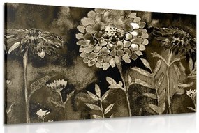 Εικόνα όμορφα λουλούδια σε σχέδιο σέπια - 60x40