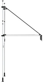 vidaXL Τέντα Συρόμενη Χειροκίνητη Ανθρακί 100 εκ.