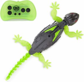 Εικόνες σε δράση Spin Master