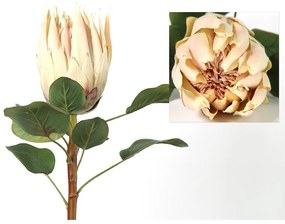 Λουλούδι Protea 06-0533 68Ycm Creme-Pink Plastic