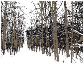 Φωτοταπετσαρία - trees - autumn 250x193