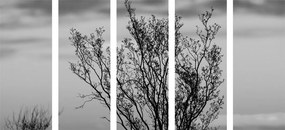 Εικόνα 5 μερών ασπρόμαυρα κλαδιά - 100x50