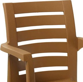 Πολυθρόνα Fiery pakoworld PP teak