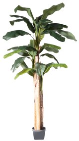 Supergreens Τεχνητό Δέντρο Μπανανιά 250 εκ.