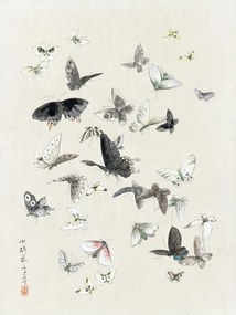 Εκτύπωση έργου τέχνης Butterflies & Moths (1 of 2) - Katsushika Hokusai, (30 x 40 cm)