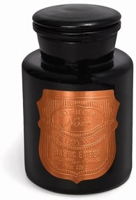 Αρωματικό Κερί Apothecary Noir Baltic Ember 226gr Paddywax Κερί Σόγιας