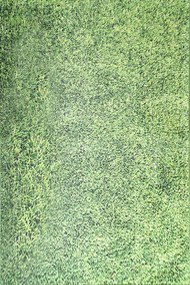 Χαλί Grass Green Conceptum Hypnose 160X230cm