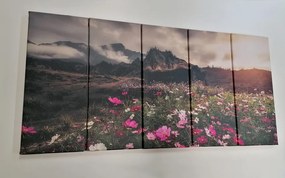 5 μέρη εικόνα λιβάδι ανθισμένα λουλούδια