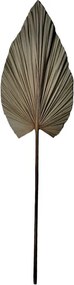 Διακοσμητικό φύλλο Leafen I Inart φυσικό palm leaf 121εκ