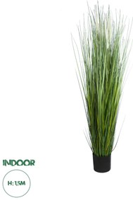20104 GloboStar® Artificial Garden SACCHARUM 20104 Τεχνητό Διακοσμητικό Φυτό Ζαχαροκάλαμο Υ150cm