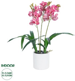 21402 GloboStar®  Artificial Garden PINK CHERRY CYMBIDIUM 21402 Διακοσμητικό Φυτό Φούξια Κυμβίδιο Υ60cm