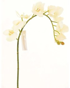 Τεχνητό Κλωνάρι Ορχιδέα 3230-7 75cm White Supergreens Polyethylene