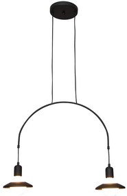 Φωτιστικό Οροφής Κρεμαστό HL-3528-2 77-3824 Everdina Black  Homelighting Metal