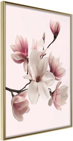 Αφίσα - Blooming Magnolias I - 20x30 - Χρυσό - Χωρίς πασπαρτού