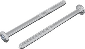 vidaXL Βίδα 2 pcs Ασημί M6 x 85 χιλ. Ατσάλι