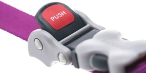 Λουρί Σκύλου Red Dingo Πορτοκαλί